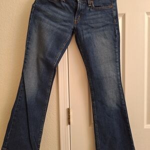 Levi's Dark Blue Flare Jeans